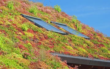 Colnefields living roof systems