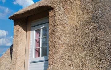 Colnefields thatch roof disadvantages